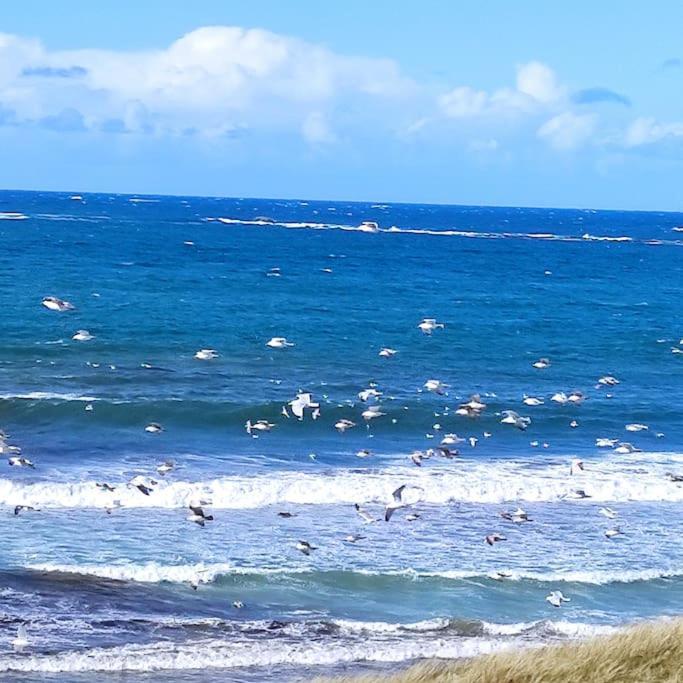 Gite Kerbourc'H Charmant Et Confortable, Mer Et Plages A 3Km, Ploudalmézeau Eksteriør bilde